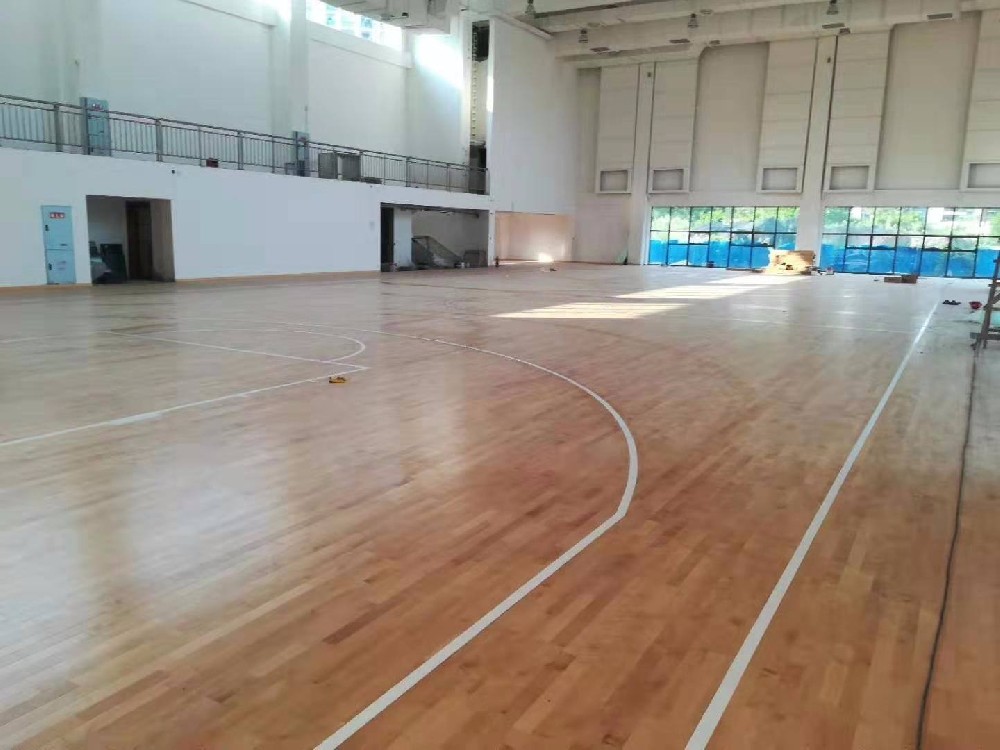臨海籃球場運動木黄瓜网站APP观看大全